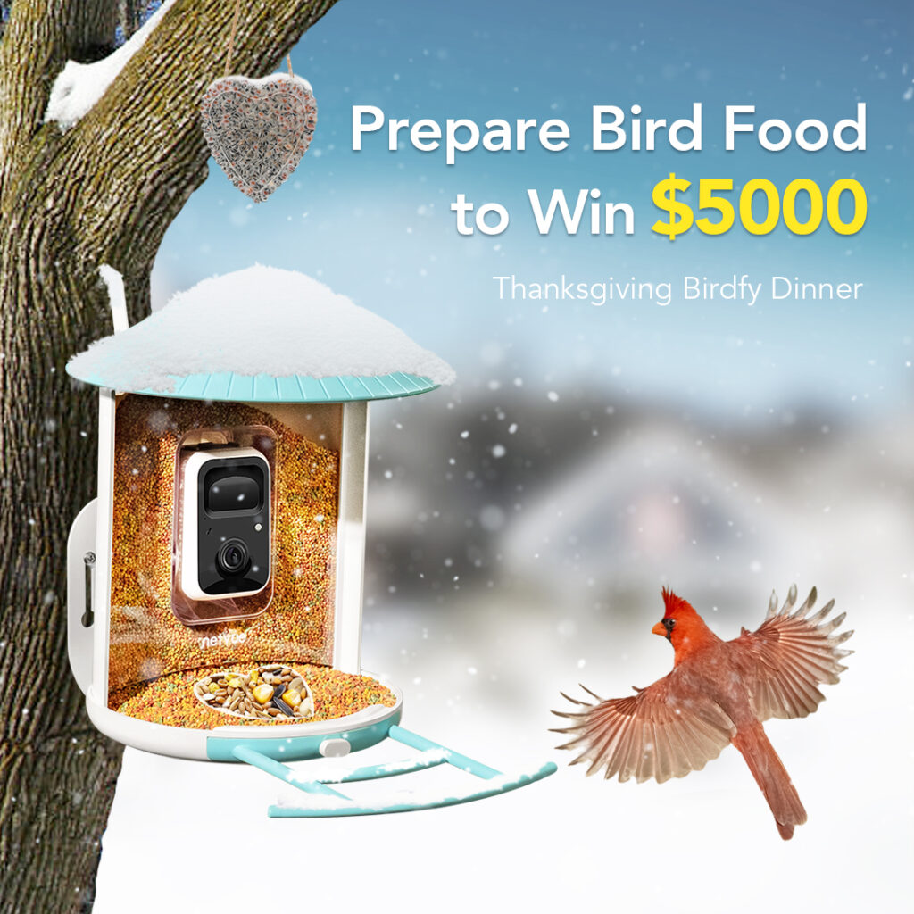 Netvue Launched Rich Reward for Bird Lovers to Celebrate Thanksgiving with Their Backyard Friends