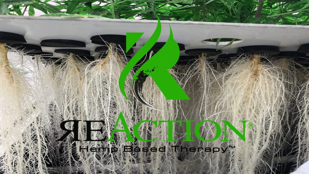 ReAction Unaffected by 2026 Hemp Law; Patented Tech and Vertical Integration Position Company as Industry Leader