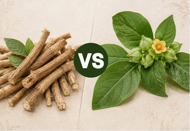 HairSmart on India’s Ashwagandha Leaf Ban: What Hair Loss Supplement Users Need to Know Right Now
